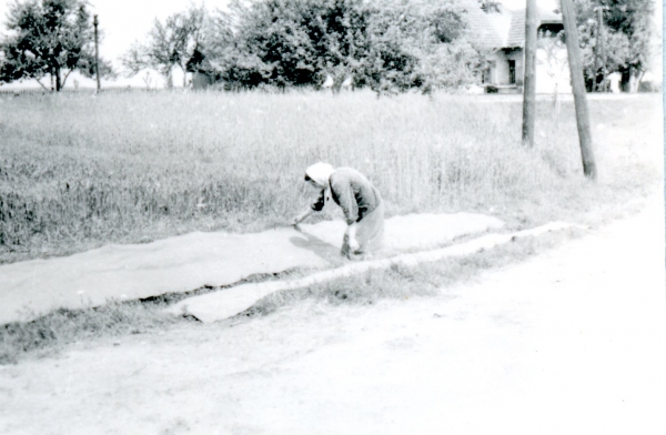 Bielenie płótna, Rzeczyca, 1960 rok - zdjęcie