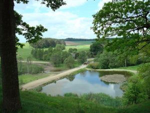 Czombrów. Widok z Horodyszczyka. Fot. J. Puchalska
