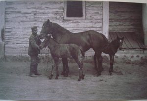 Stangret Filip i klacz cugowa, Lalka ze źrebakami. Przed 1914