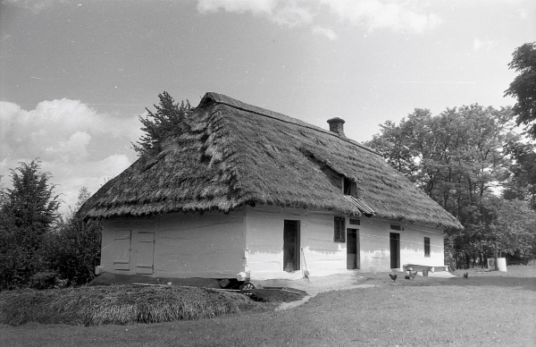 Widok chałupy drewnianej z Drabinianki, zdjęcie archiwalne, czarno-białe, fotografia autorstwa Franciszka Kotuli